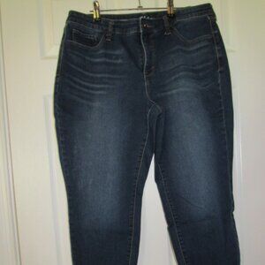 Style & Co Curvy Skinny Jeans Size 12 Short Dark Wash Stretch Denim